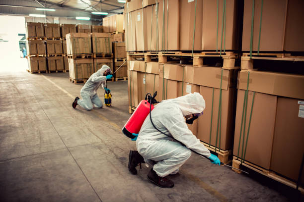Best Pest Removal Services  in Midlothian, IL
