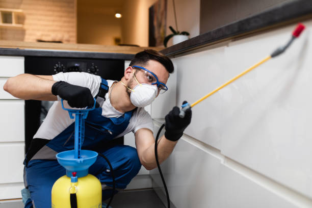 Best Local Pest Control Services  in Midlothian, IL