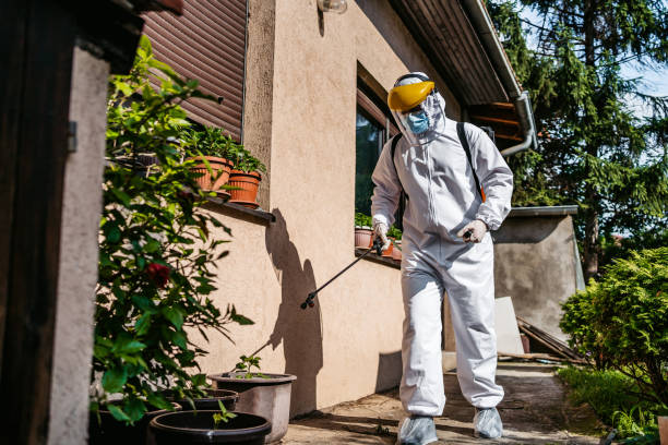 Best Affordable Pest Control Services  in Midlothian, IL