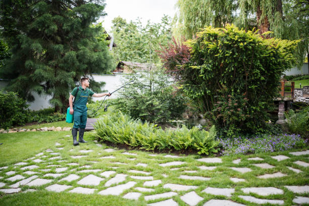 Best Pest Control Near Me  in Midlothian, IL