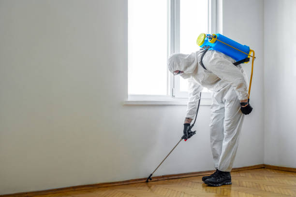 Best Mosquito Control Services  in Midlothian, IL