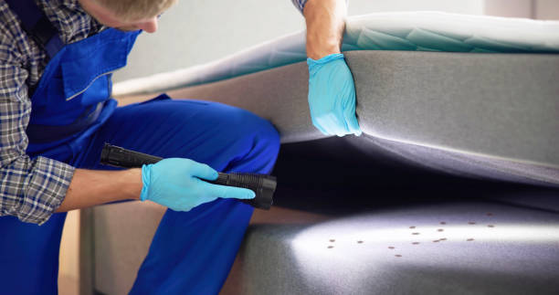 Best Pest Control for Restaurants  in Midlothian, IL