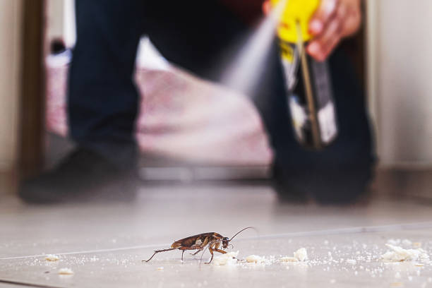 Best Best Pest Control Companies  in Midlothian, IL