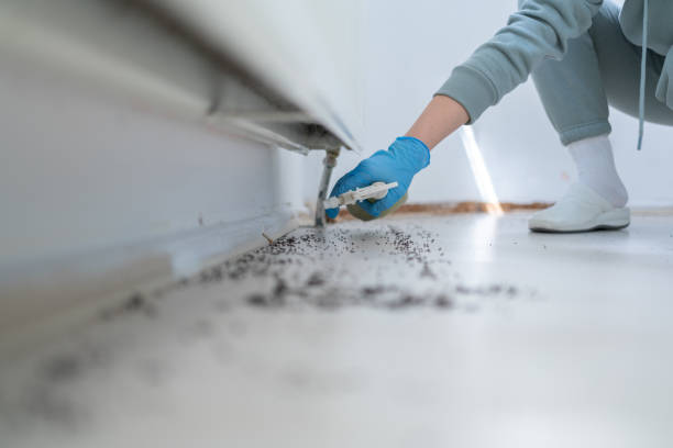 Best Commercial Pest Control Services  in Midlothian, IL